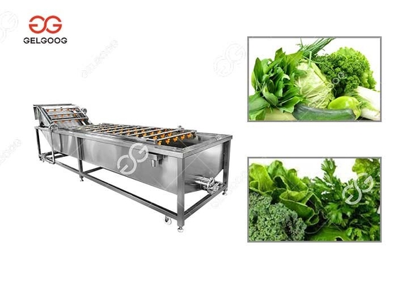 중국 300-5000KG/H 기계 그린을 씻는 잎줄기 채소는 세탁기를 남깁니다 협력 업체