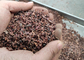 스테인리스 카카오 열매 Peeler 직업적인 Nuts 굽기 기계/풍구 협력 업체