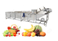 기계 제조사들을 씻는 과일은 세탁기 오스트레일리아를 열매를 맺습니다 협력 업체